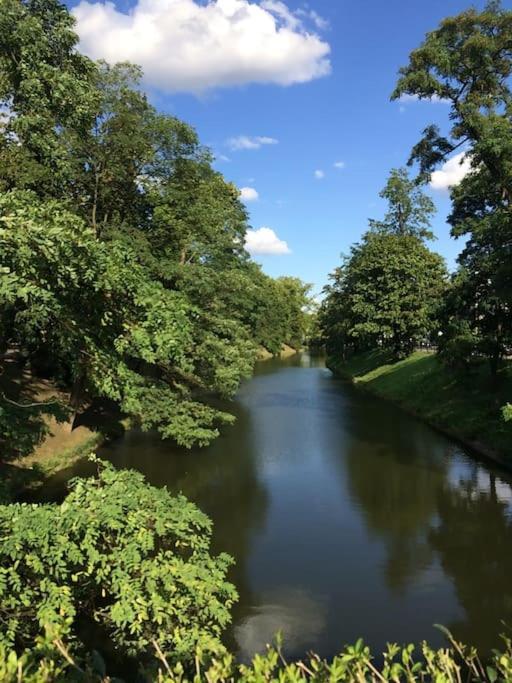 4 Pokoje - 86 M2 - 300 M Od Rynku Wroclaw Bagian luar foto