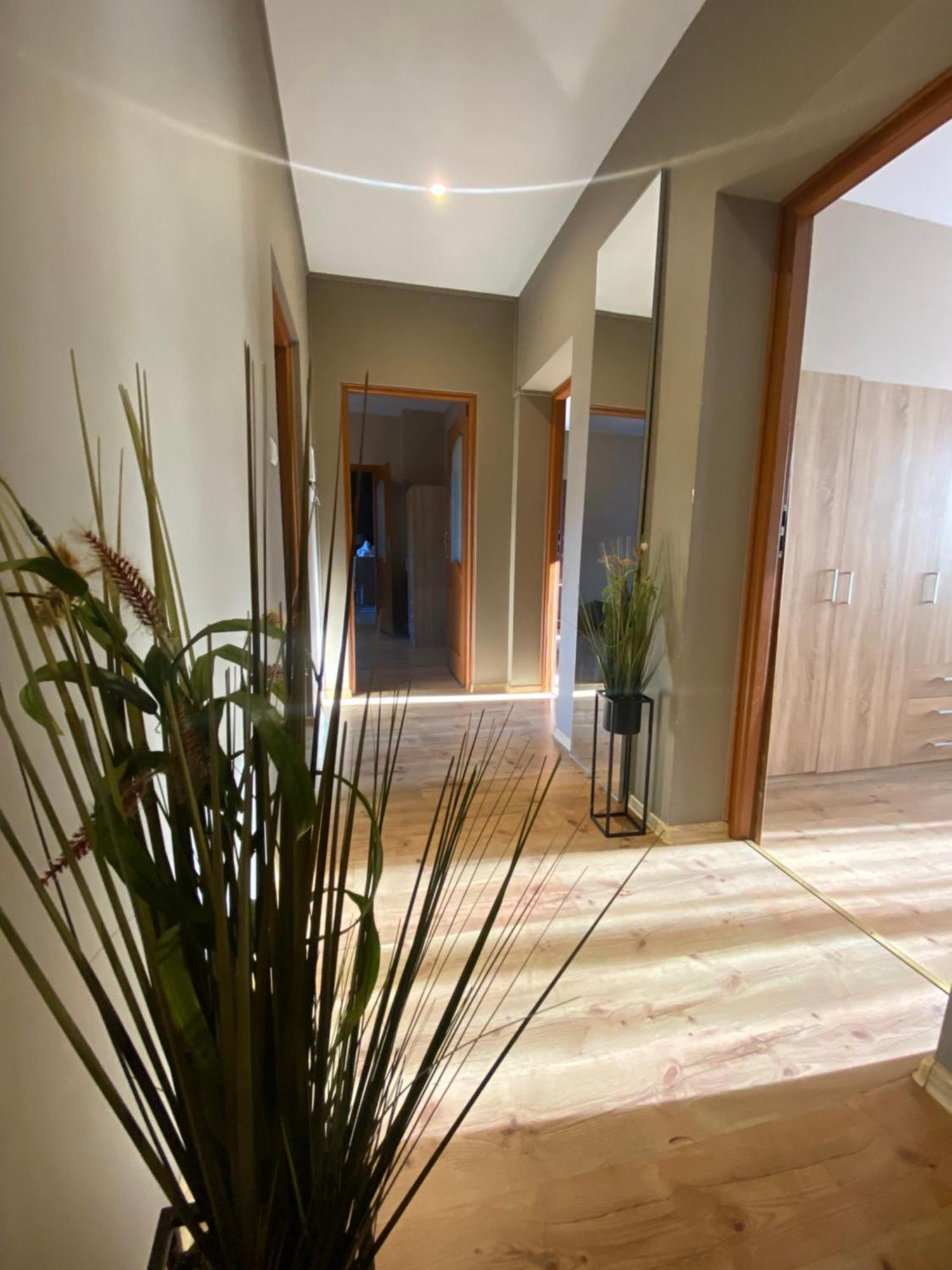 4 Pokoje - 86 M2 - 300 M Od Rynku Wroclaw Bagian luar foto